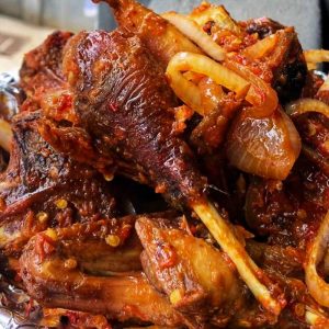 Peppered Guineafowl